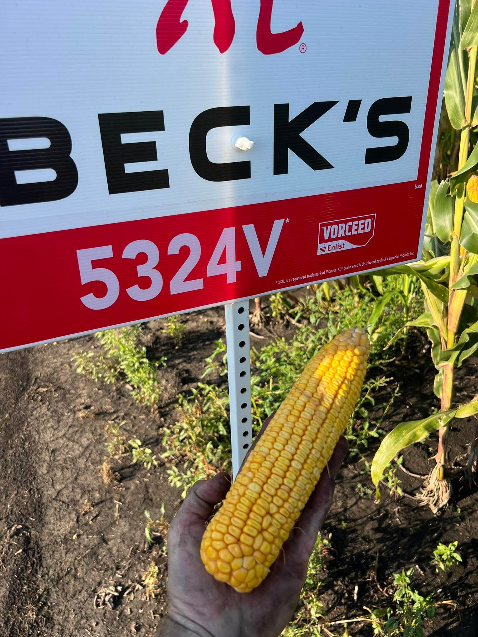 Wilkening family farming