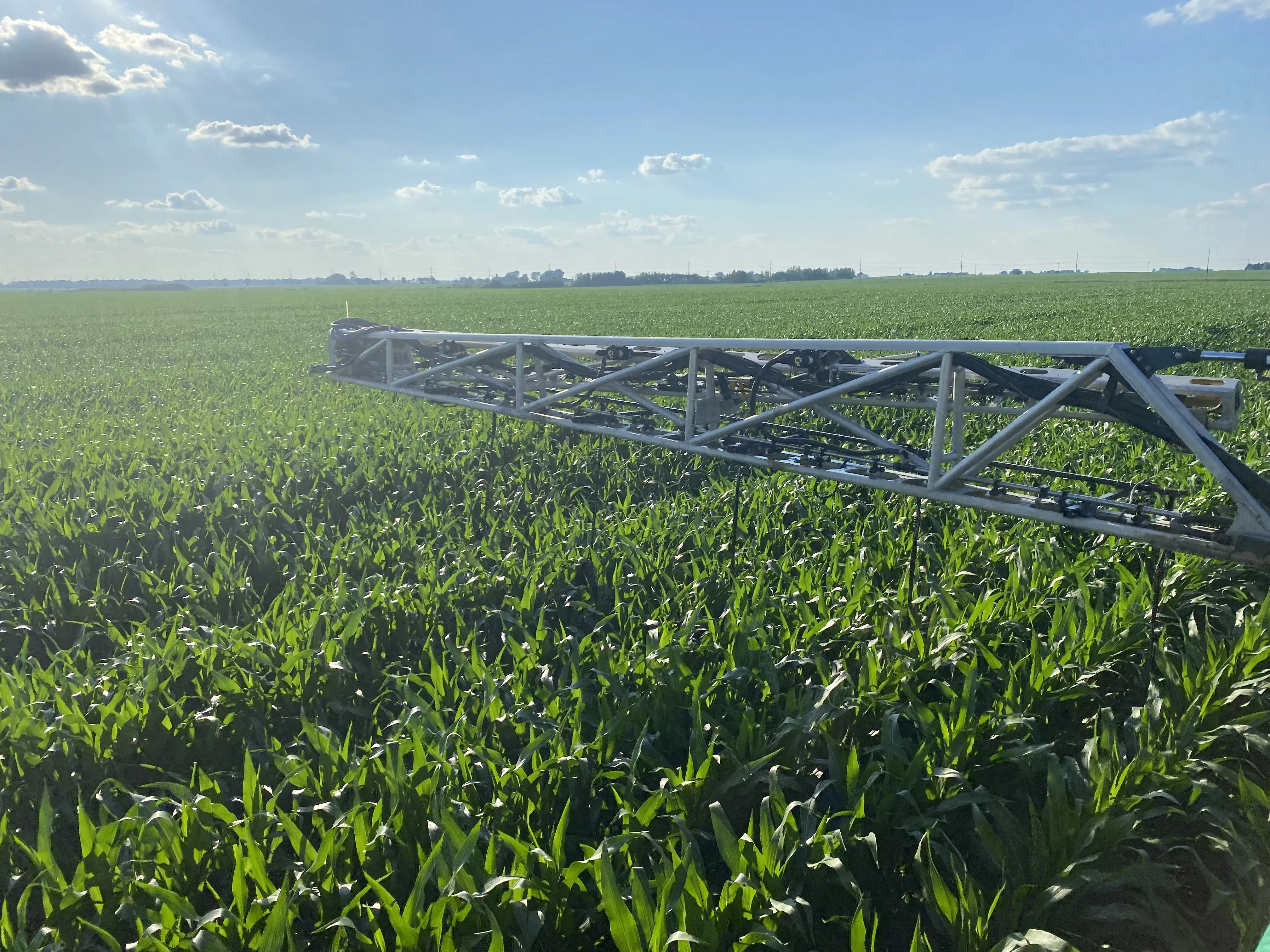 Wilkening high-clearance sprayer in the field