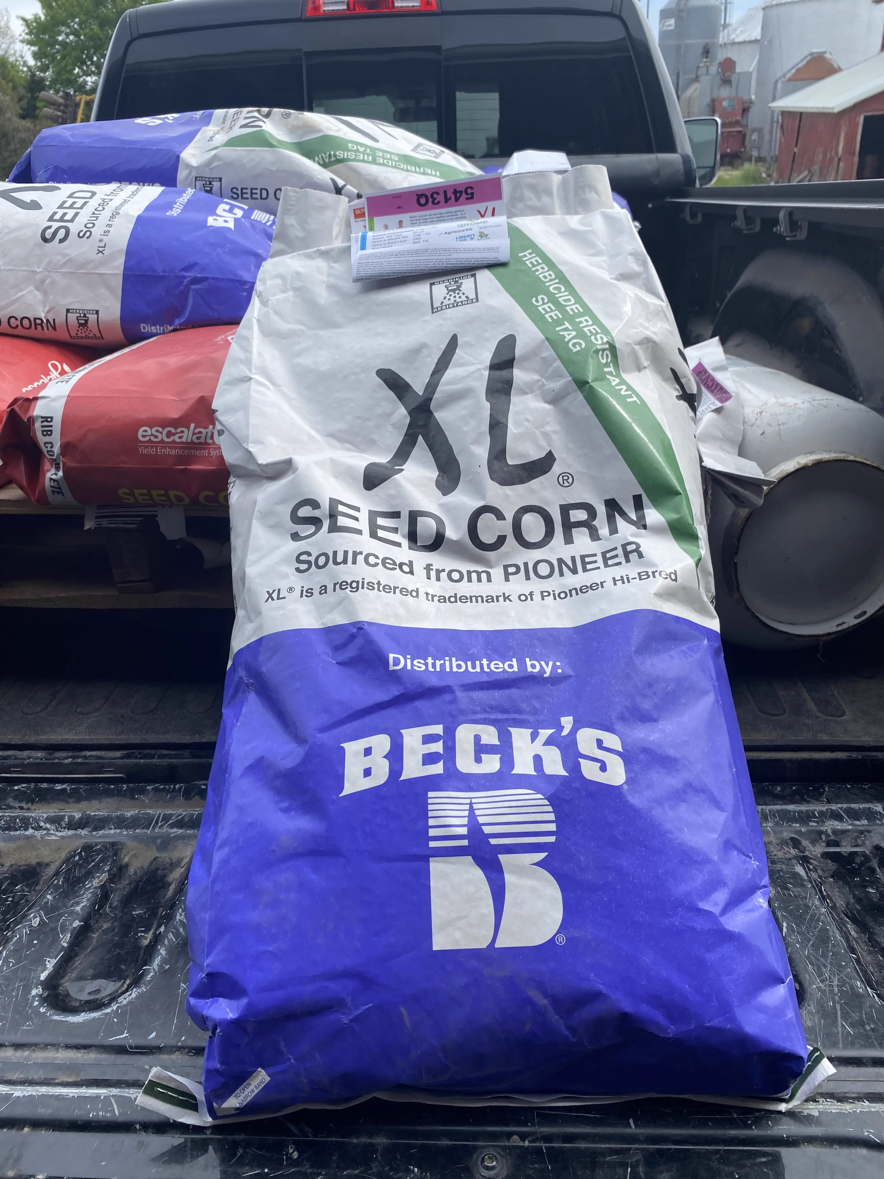 Beck's seed bag